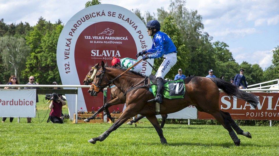 Equinews: Kvalifikaci do Velké vyhrál Del Rey. Chuchli ovládli bělouši