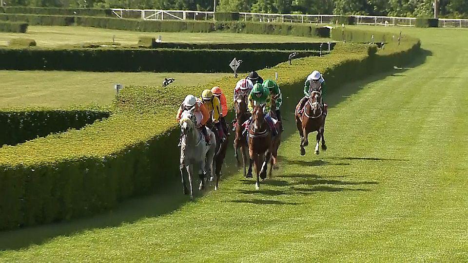 Equinews: Wellunca byla první dámou v Mostě. Světové kočáry v Písečném
