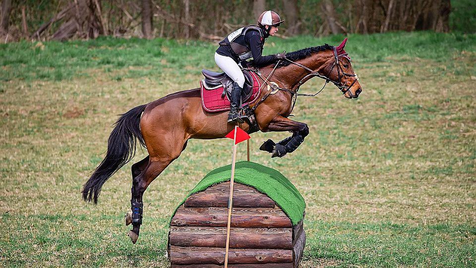 Živě: Zlatá podkova 2022 v Přeštěnicích a oblastní mistrovství SČO