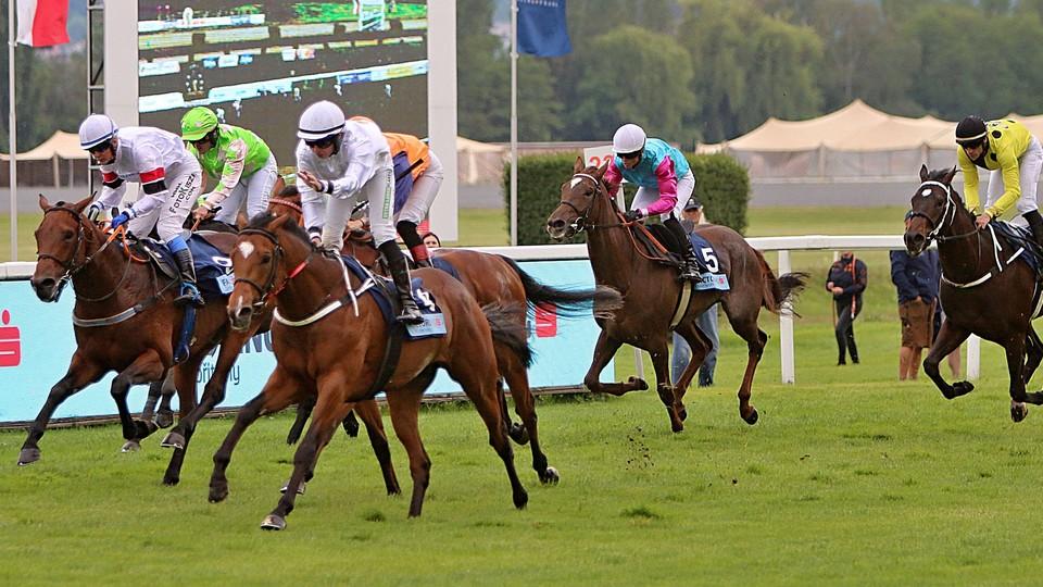 Bláznivý den v Chuchli: Agadir Gold vyhrál trial, prase nikdo nechytil