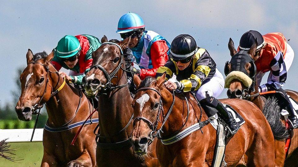 Živě: Nastupující hvězdy vyzvou elitu. Sledujte Cenu jezdectví v Mostě