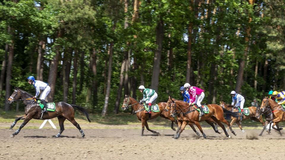 Zájem akcionářů je priorita. Dostihový spolek poprvé komentoval halu