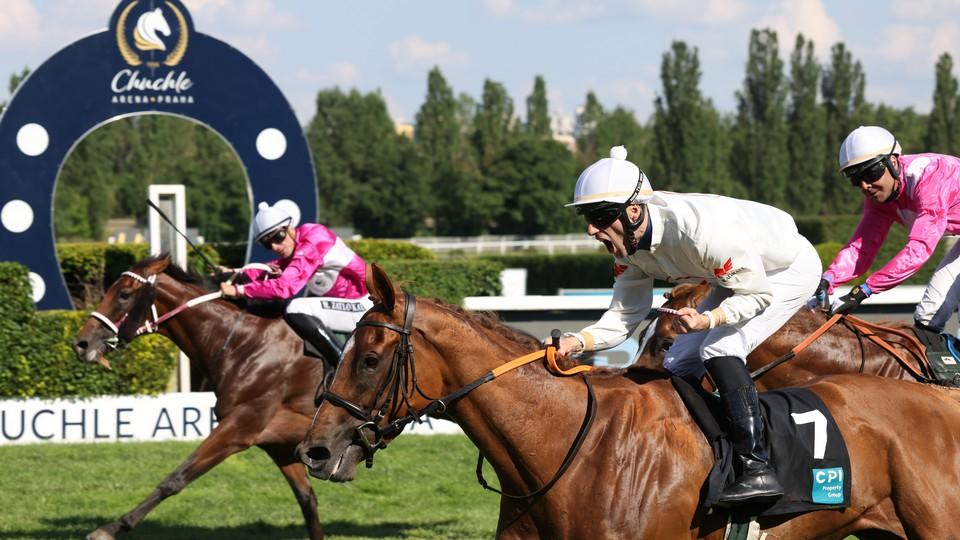 Queen Of Beaufay vítězkou derby. Klisna stáje Pegas uhájila čistý štít