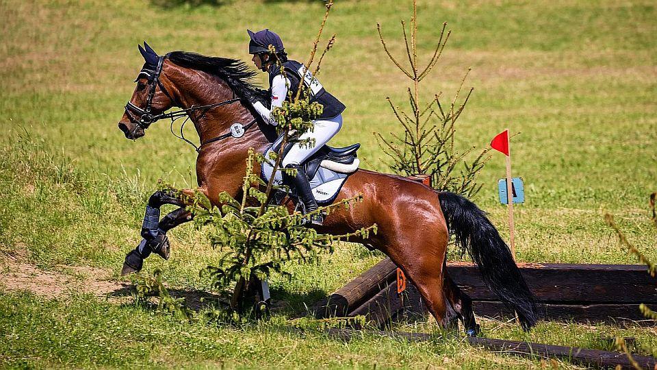 Živě: MČR ve všestrannosti pony, dětí a juniorů 2022 v Přeštěnicích