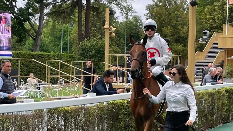 Dakota se rozloučila s Českem vítězně, Sir Bowtieman překvapil Lipsko