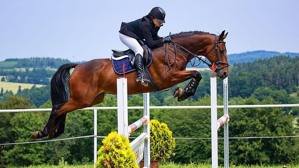 Equinews: První mistrovství v Přeštěnicích. V Lysé vyhrál Dusigrosz