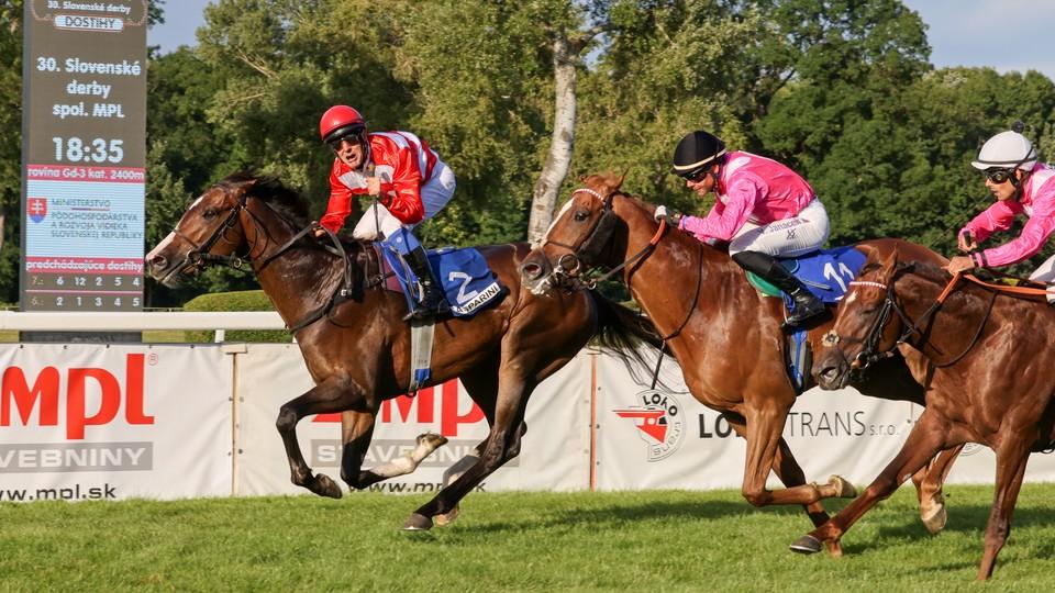 Ještě neukázal vše, co umí. Gaspariniho derby očima žokeje a trenéra