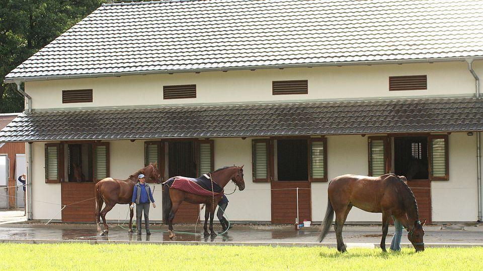 Požár na Děčínsku ohrožuje několik stájí. ČJF hledá i nabízí pomoc