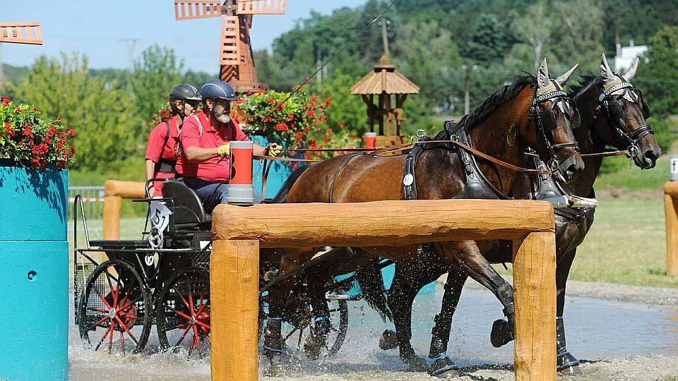 Živě: Sledujte mistrovství ČR spřežení 2022 v Tlumačově na EquiTV.cz
