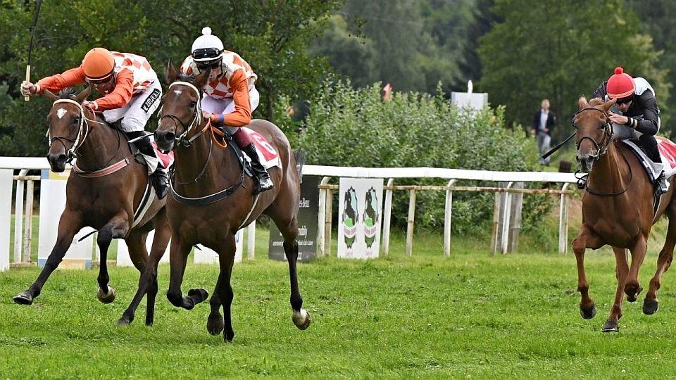 Živě: Zvítězí bílá klisna? Sledujte 77. Oaks v Karlových Varech