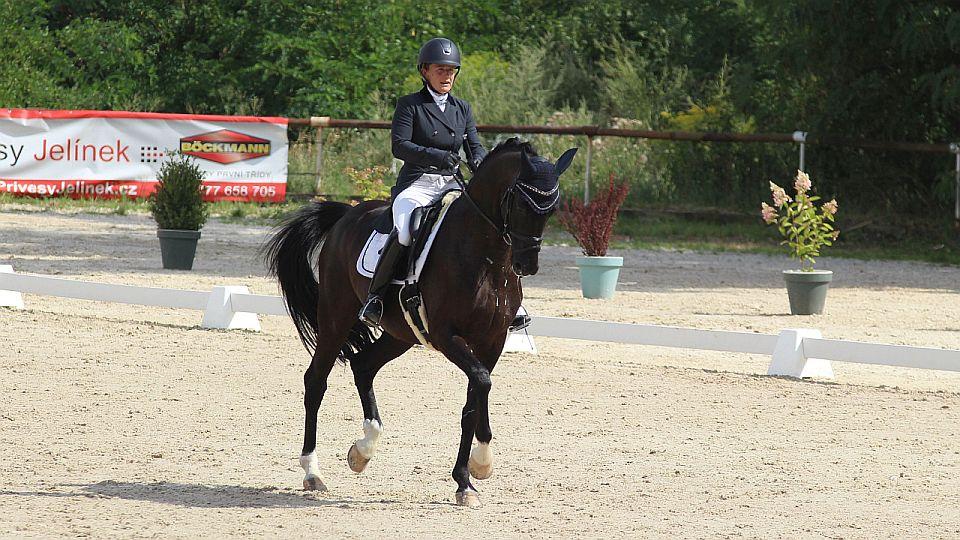 Equinews: Drezurní MČR v Brně. Výstavu hříbat vyhrála Pegasina Jumping