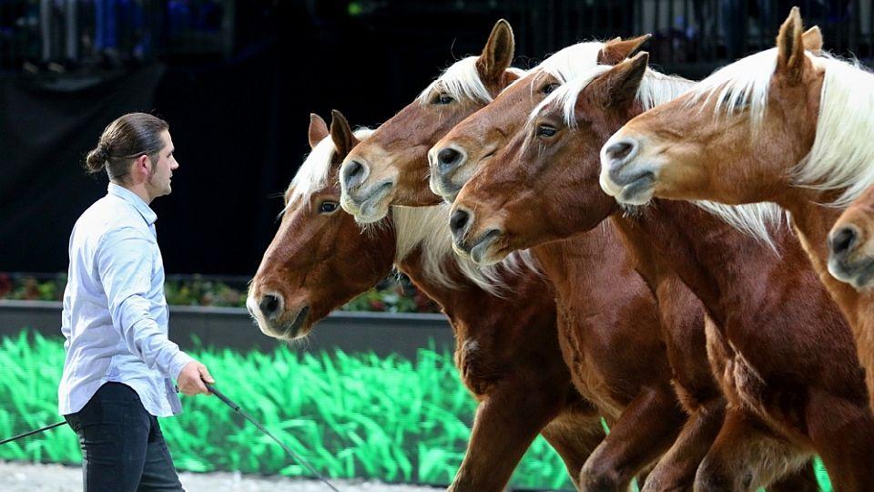 Guillaume Mauvais po třech letech v ČR. Vystoupí při galashow v Lysé