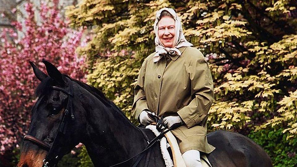 Alžběta II. koně milovala. Obdržela cenu za zásluhy o rozvoj jezdectví