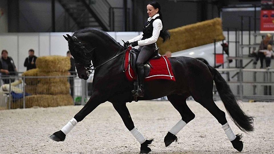 Živě: Sledujte první den výstavy Kůň 2022 v Lysé nad Labem na EquiTV