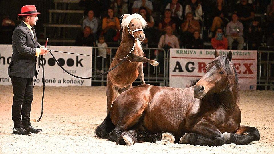 Obrazem: Guillaume Mauvais nadchl diváky při večerní galashow v Lysé
