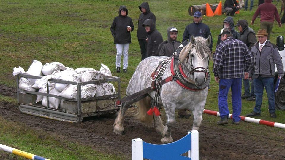 Orkán utáhl v Kolesech 2,5 tuny. Mistrovství ČR vyhrál Janoš s Brysem