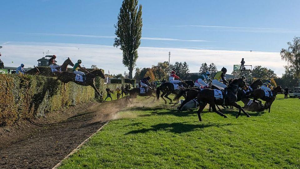 Equinews: Matuský podruhé vyhrál Velkou. Na Gabrielce zářila Lexová