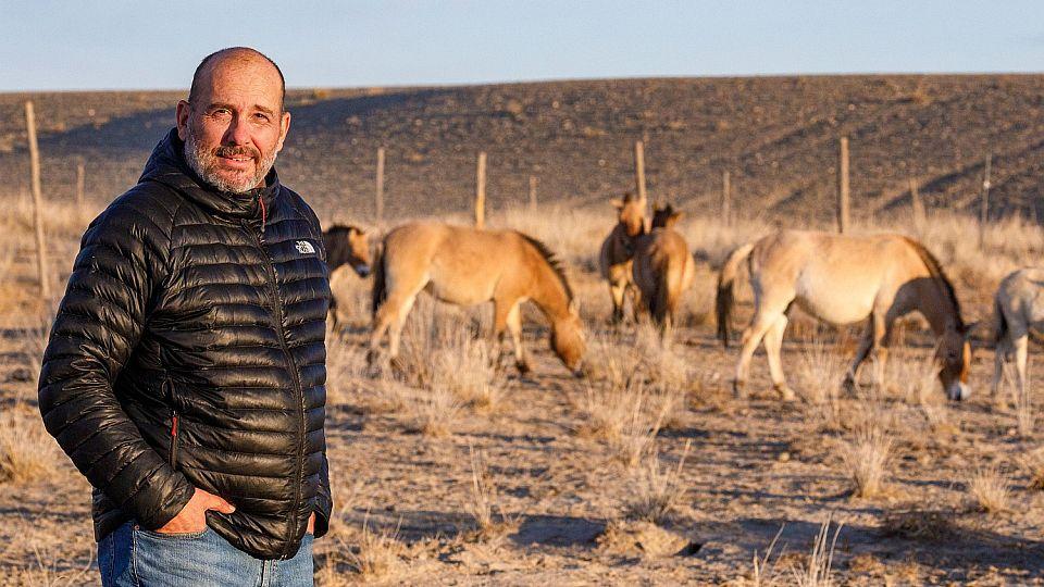 Prezidentský řád pro ředitele Zoo Praha za záchranu koně Převalského