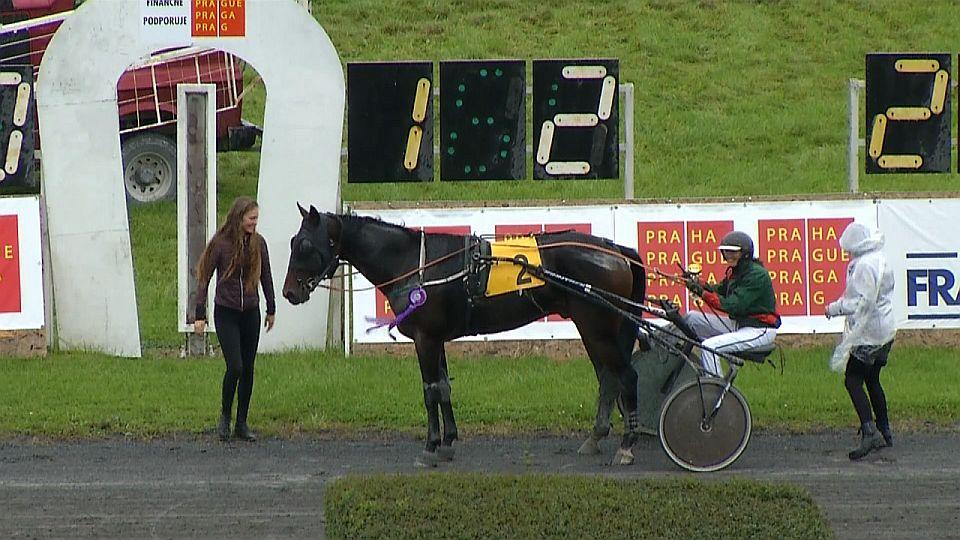 Živě: Klusácký St. Leger v Chuchli. Sledujte Velkou cenu primátora