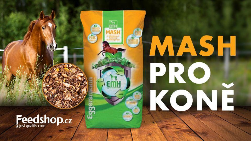 Mash pro koně dodá nejen energii. Poradíme vám, kdy a jak ho podávat