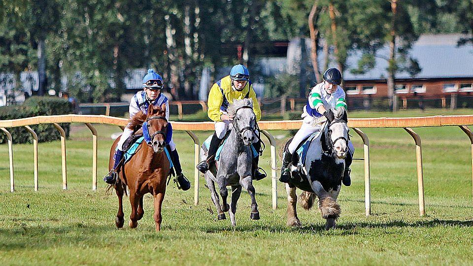 Živě: Gala mladých talentů. Sledujte vyhlášení výsledků Pony ligy