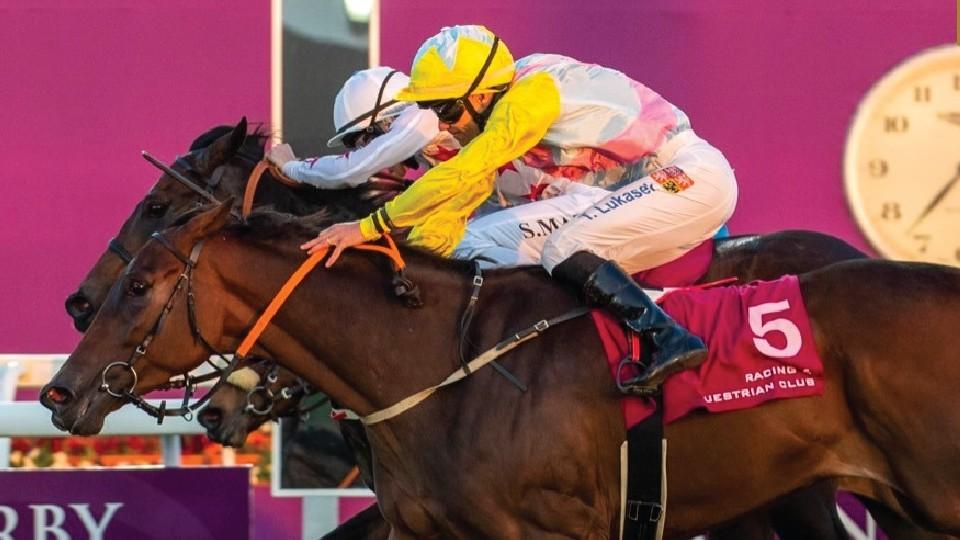 Lukášek: Dotace v Kataru narostly i o 100 procent, konkurence je větší