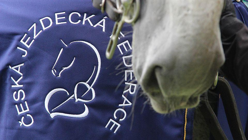 Uvnitř ČJF to vře. Někteří radní chtějí zrušit rozhodnutí o Sazebníku