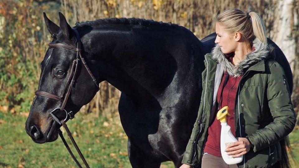 Průměrně se nám vrací dvacet mladých koní na sezonu, říká Mázdrová 