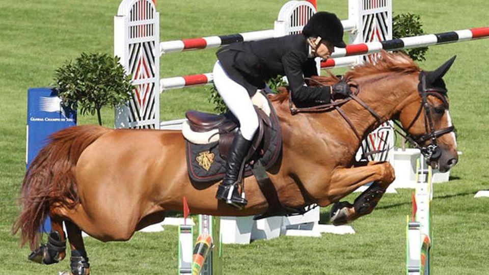 Itot du Chateau: Malý velký kůň překonával překážky ve sportu i životě