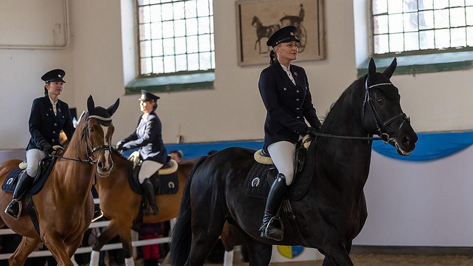 Čtyři hodiny koňské krásy a elegance. V Písku se ukázali nejen hřebci