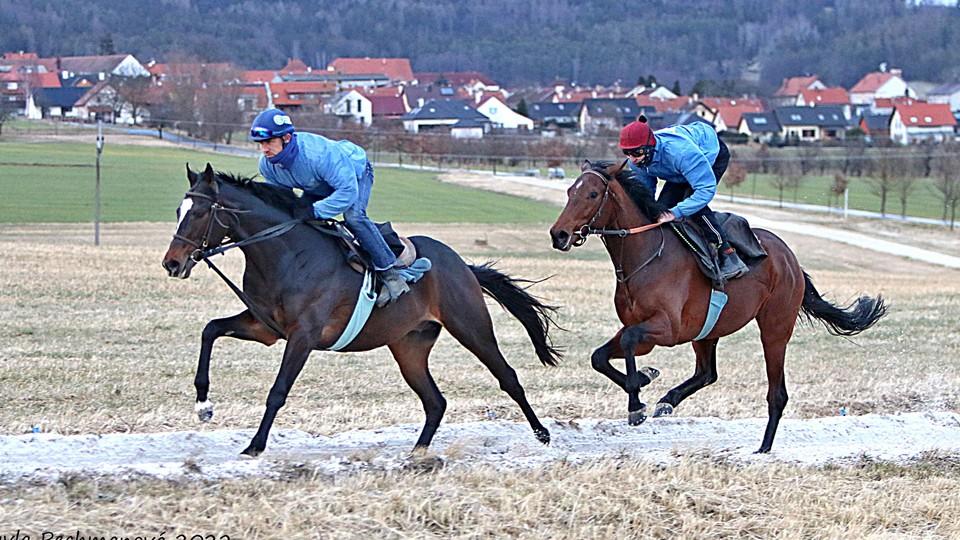Den otevřených dveří? Dostihy nutně potřebují propagaci, podotýká Luka