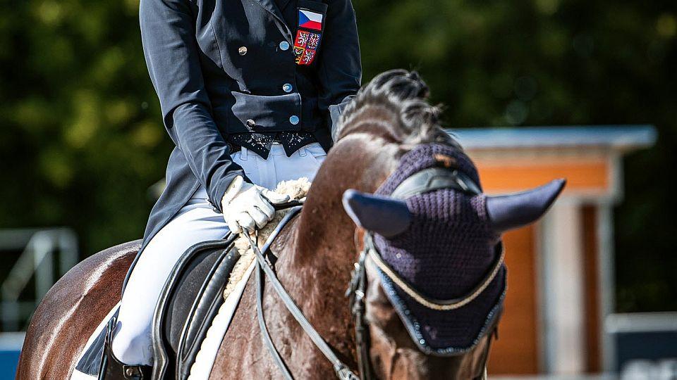 Česká drezura chce na olympiádu. Tým zamíří na kvalifikaci do Maďarska