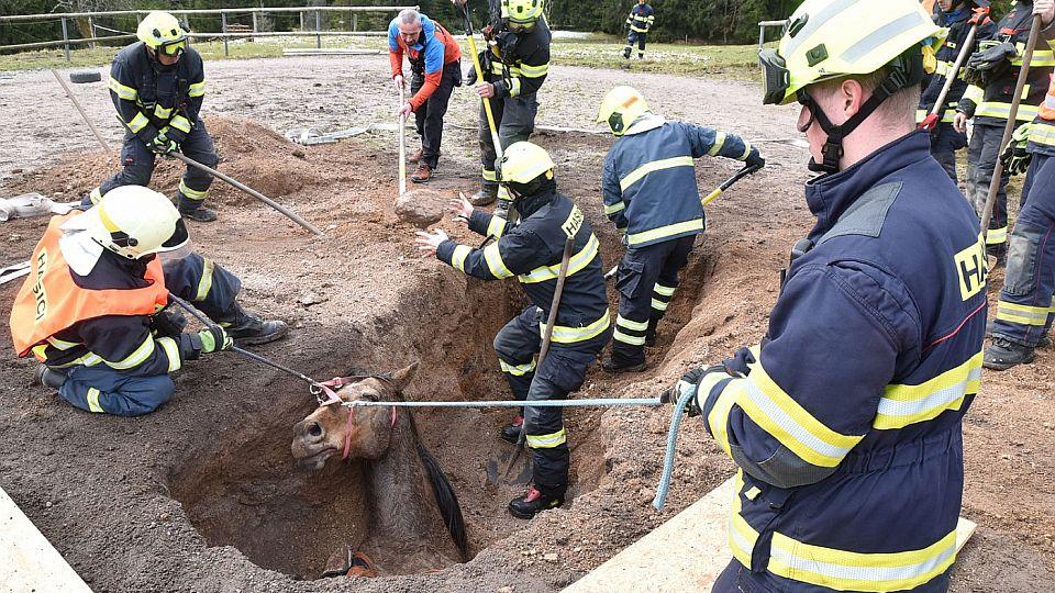 Mimořádně náročná záchranná akce v Přebuzi. Kůň bohužel zával nepřežil