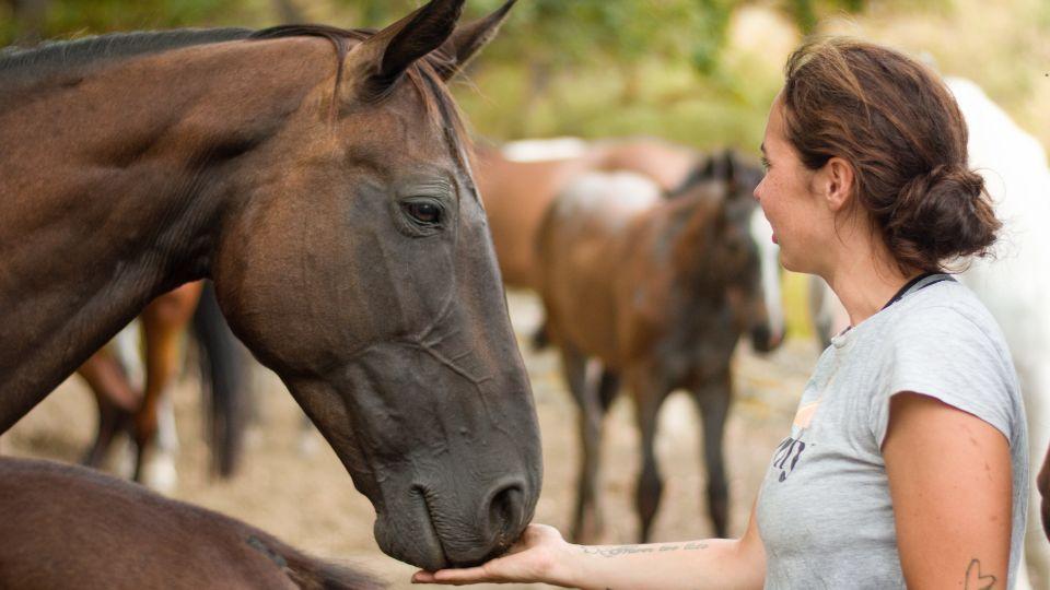 Některé neřesti musí být odpuštěny. To naučila Sissi Petru Boháčovou