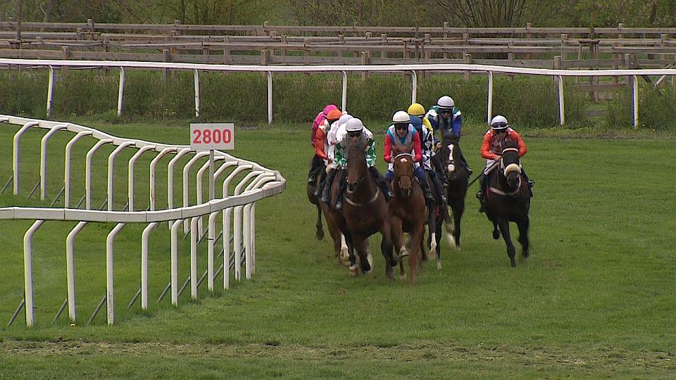 Equinews: V Chuchli vítězili favorité, klusáky překvapil Pamino