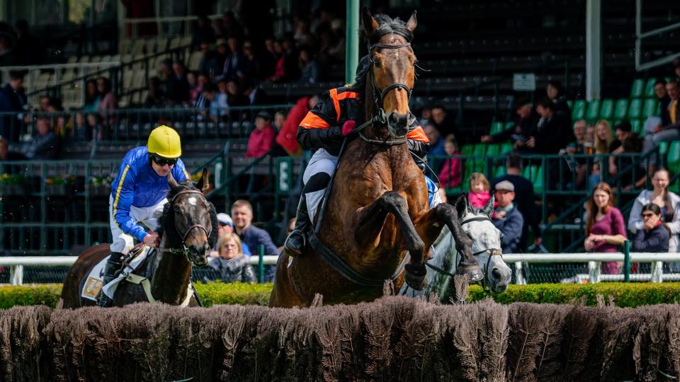 Primátor Pardubic: Dostihy podporujeme, hala rozdělovala společnost