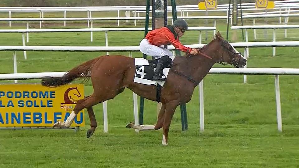 Český šok v kurzu 510:10. Carlo Biraghi zaskočil Fontainebleau