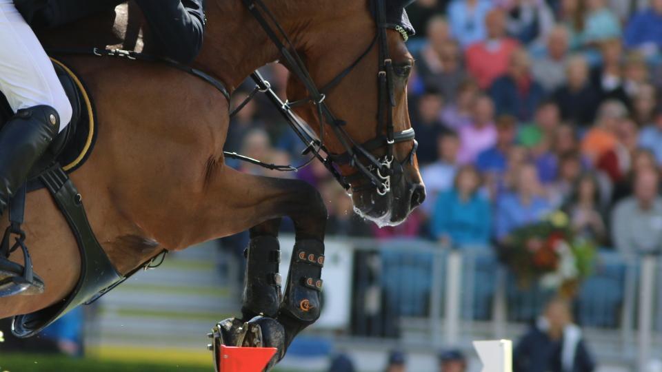 Dění v týdnu: Premiéra ČSP v Jítravě a desítka výjezdů do zahraničí