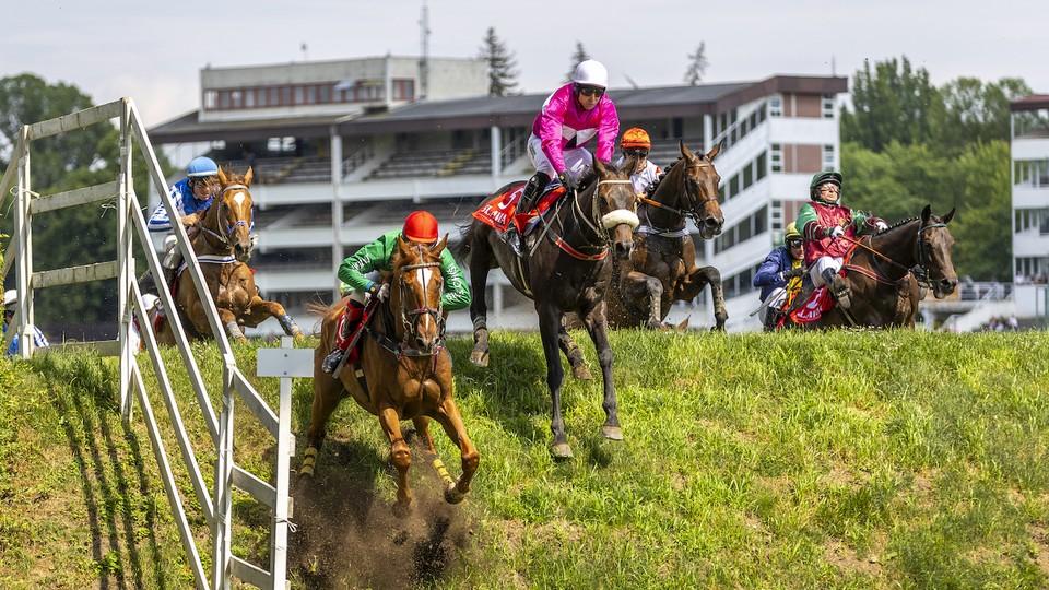 Foto: Lodgian Whistle zazářil v kvalifikaci, Zlatý pohár pro Altuse