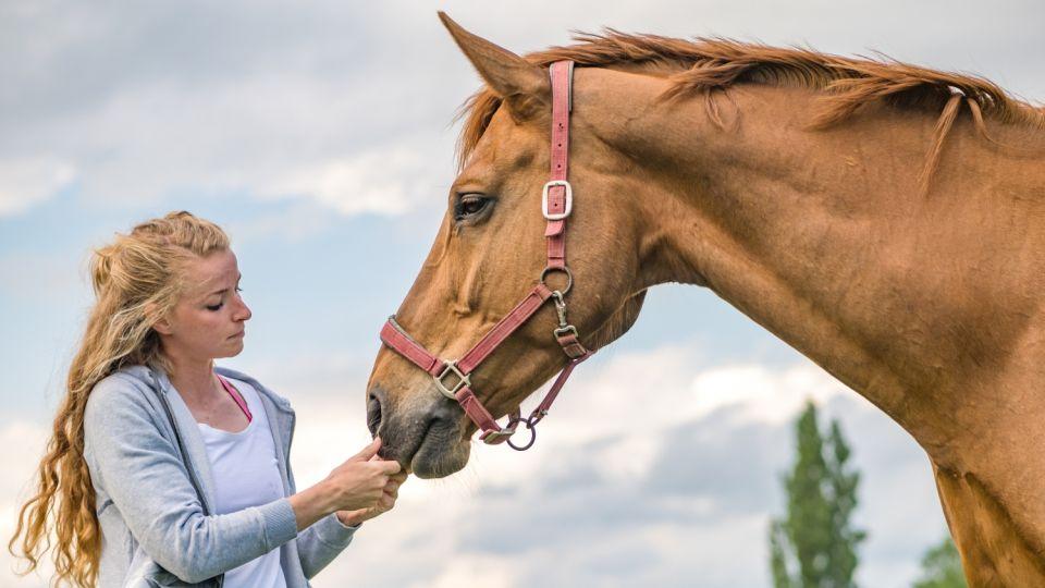 Markéta Davidová: Svého koně bych chtěla, toho pravého stále hledám