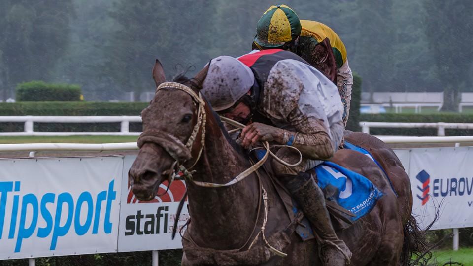 V deštivé kvalifikaci na Velkou pardubickou byl nejrychlejší Sacamiro