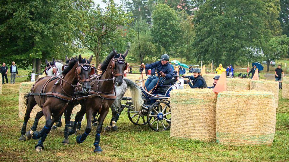 Dění v týdnu: Finále Zlaté podkovy v Humpolci a skokový pohár v Opavě