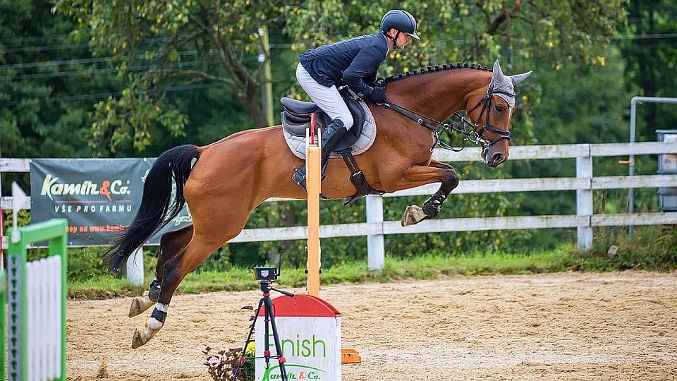Živě: Sledujte CCI Bohemia Eventing Tour Borová 2023 na EquiTV.cz