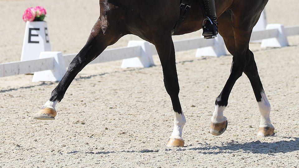 ikonka