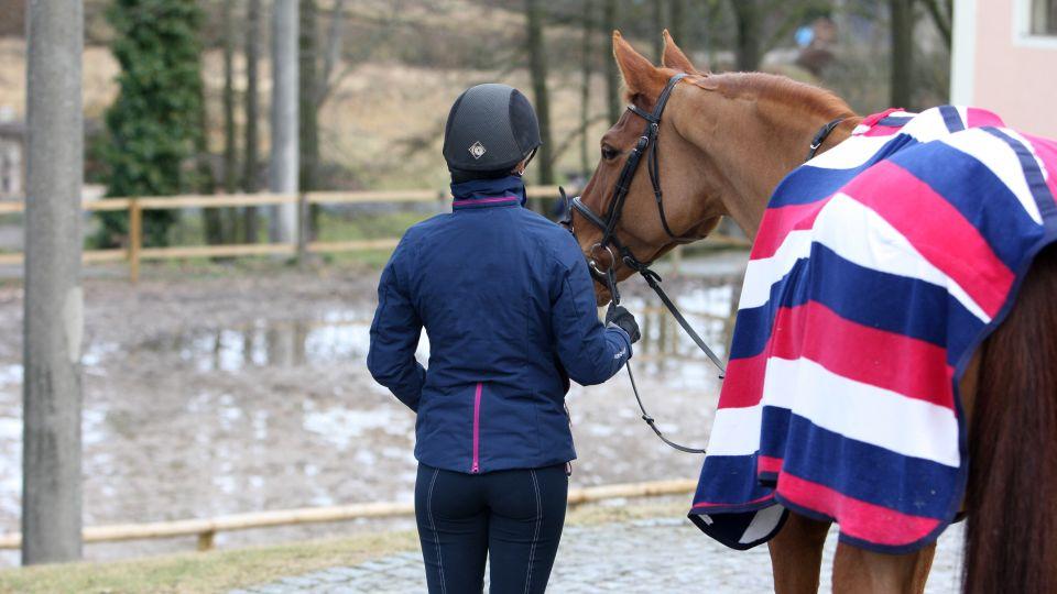 Zimní pauza a příprava pohledem českých jezdců, trenérů a veterinářů