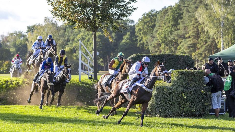 Sacamiro vyhrál Velkou pardubickou, na Taxisu spadlo sedm koní