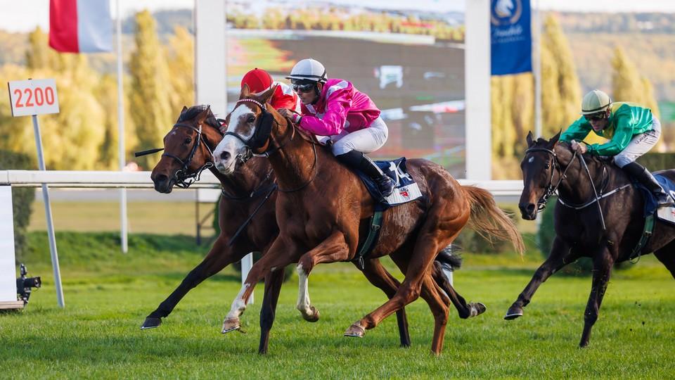 Příští rok bude ještě lepší. Magic Merlin kouzlil i před prezidentem