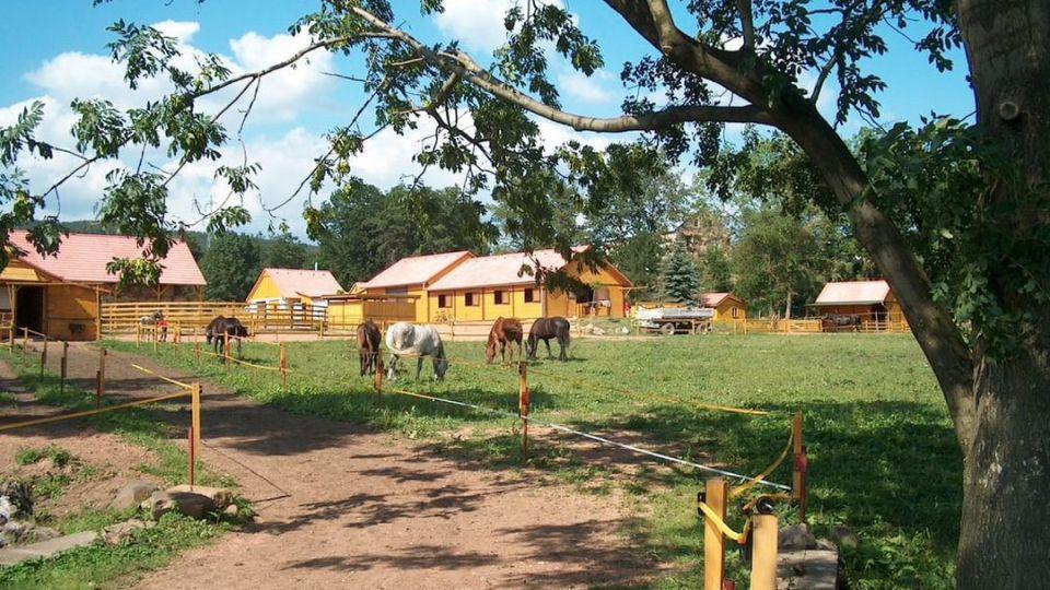 Hlaváčková: Ve vlastní stáji mám časově neomezenou možnost tréninků