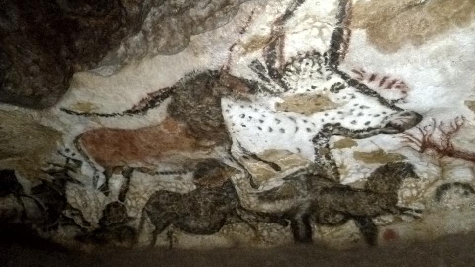Poznatky o domestikaci koní: Z ponto-kaspické oblasti do celého světa