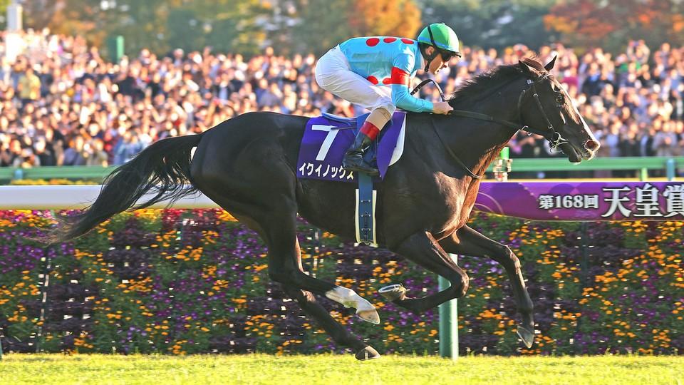Světová jednička Equinox a tři ženy. Japan Cup bude psát historii